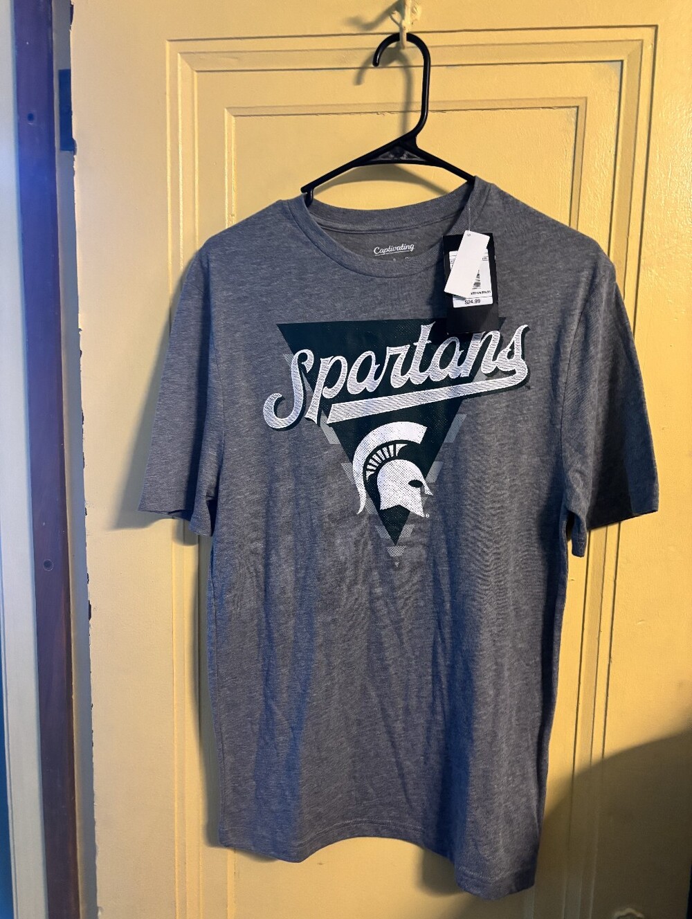 Spartans Graphic Tee - Gray